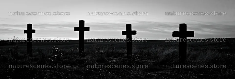 Four Christian crosses in winter meadow landscape – nature scenes 13690x4602