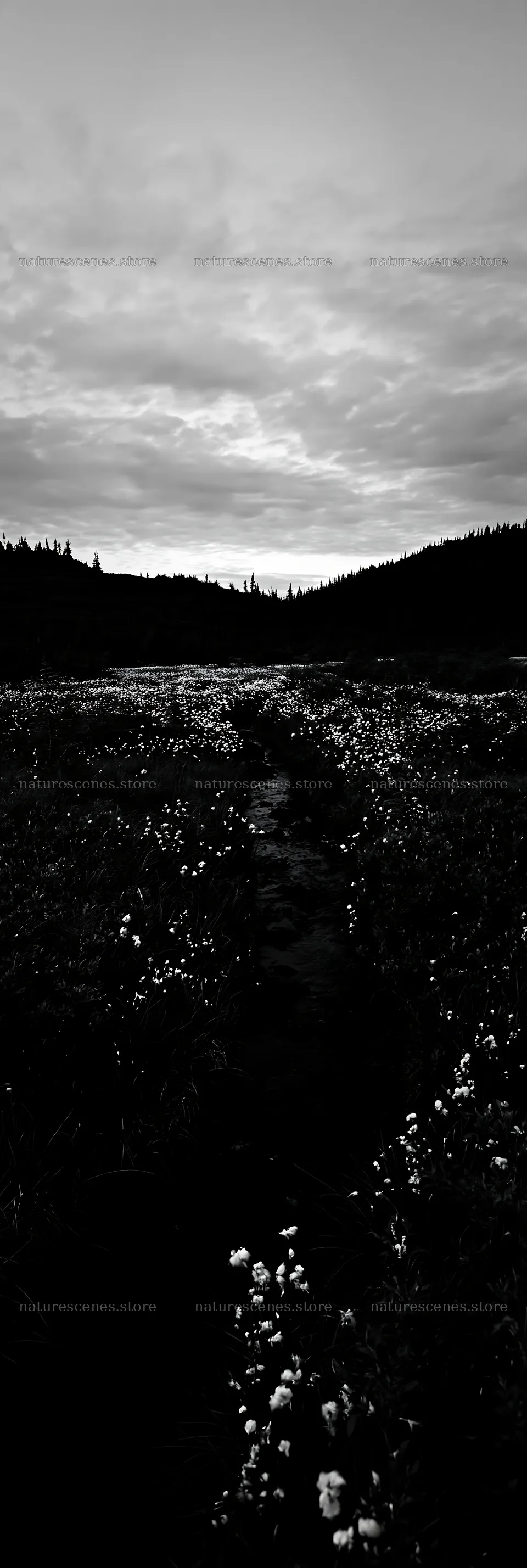 High contrast meadow brook landscape at dusk – nature scenes 4602x13690