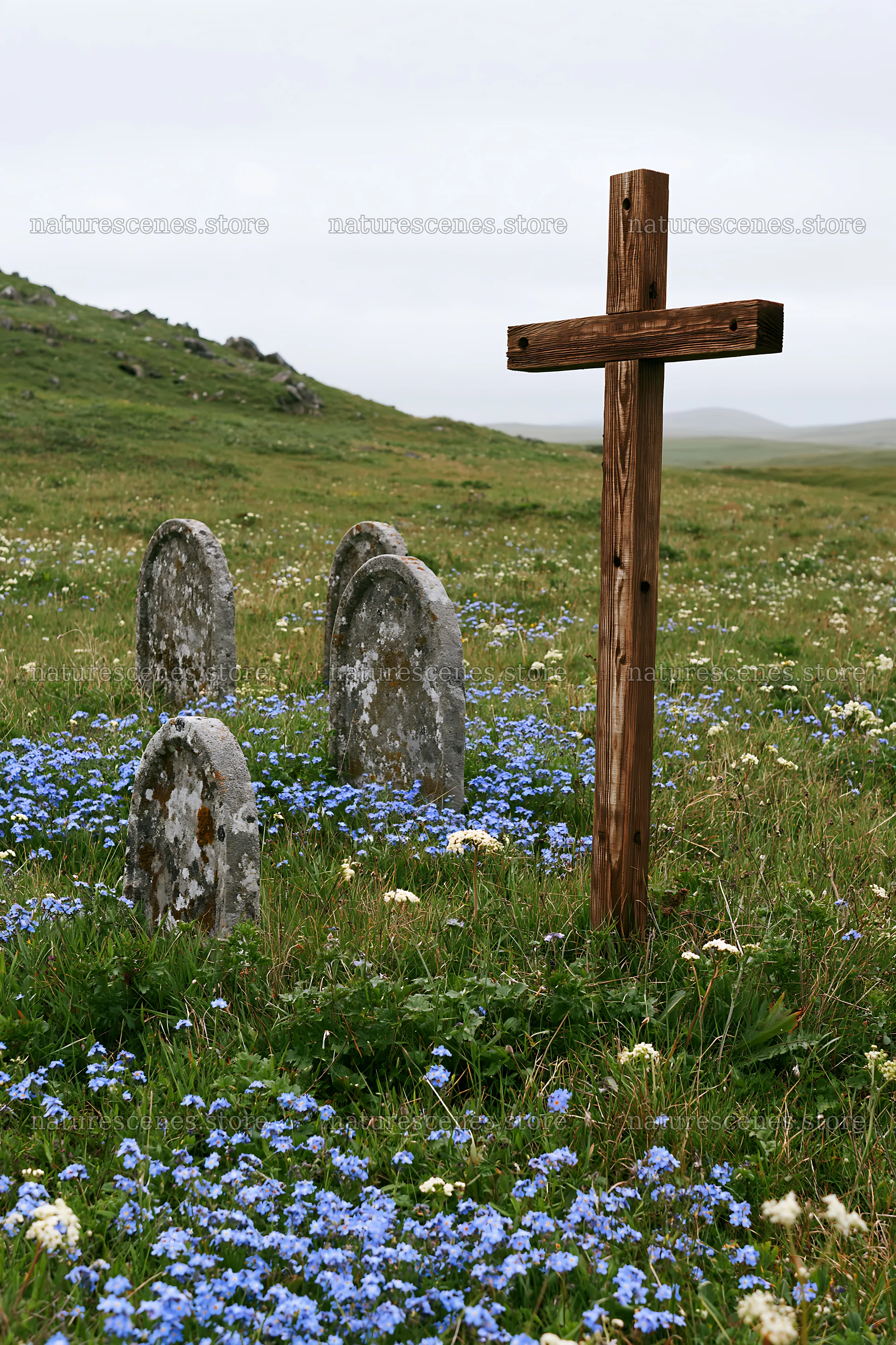 Christian cross in meadow with gravestones in background – nature scenes 6480x9722