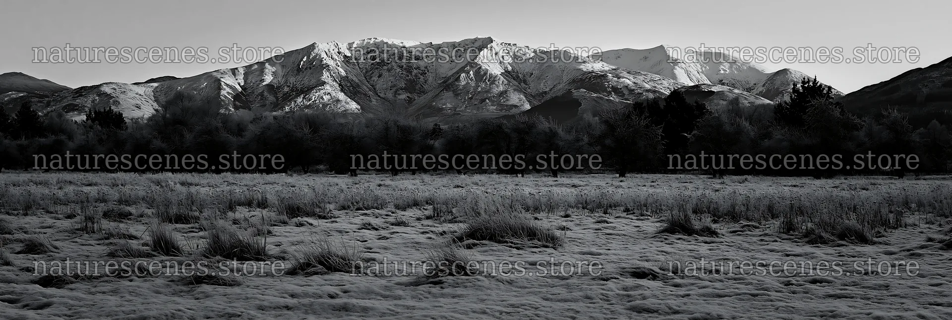 Highland apple meadow with mountains in black and white – nature scenes 13690x4602