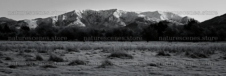 Highland apple meadow with mountains in black and white – nature scenes 13690x4602