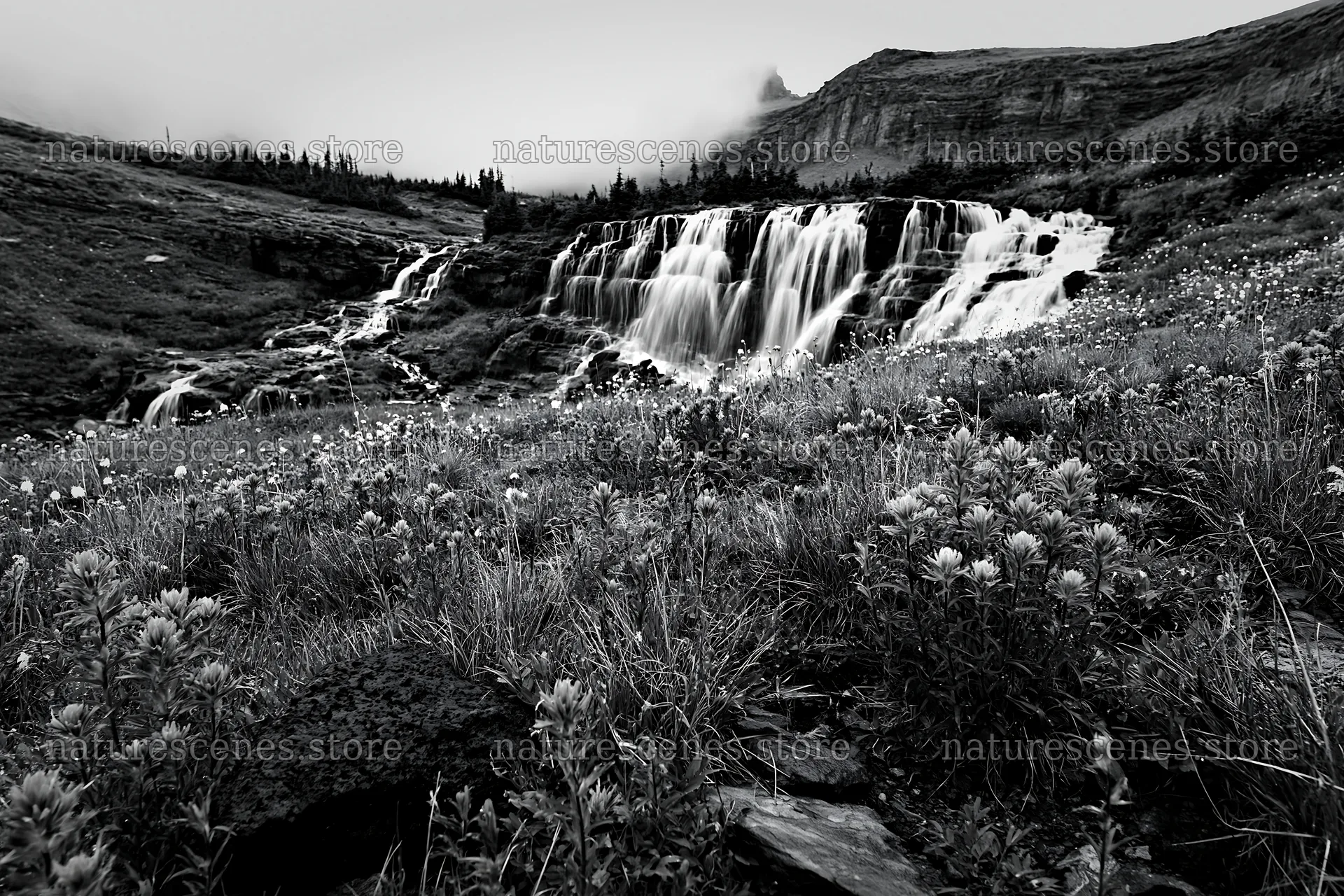 Misty mountain waterfall in a meadow with wildflowers – nature scenes 9722x6480
