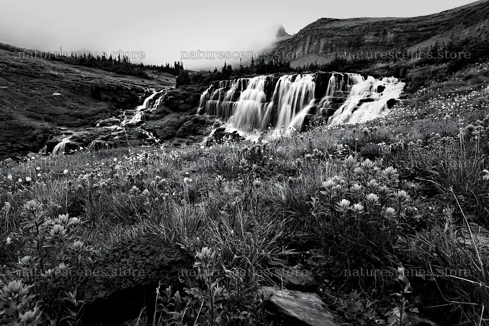 Misty mountain waterfall in a meadow with wildflowers – nature scenes 9722x6480