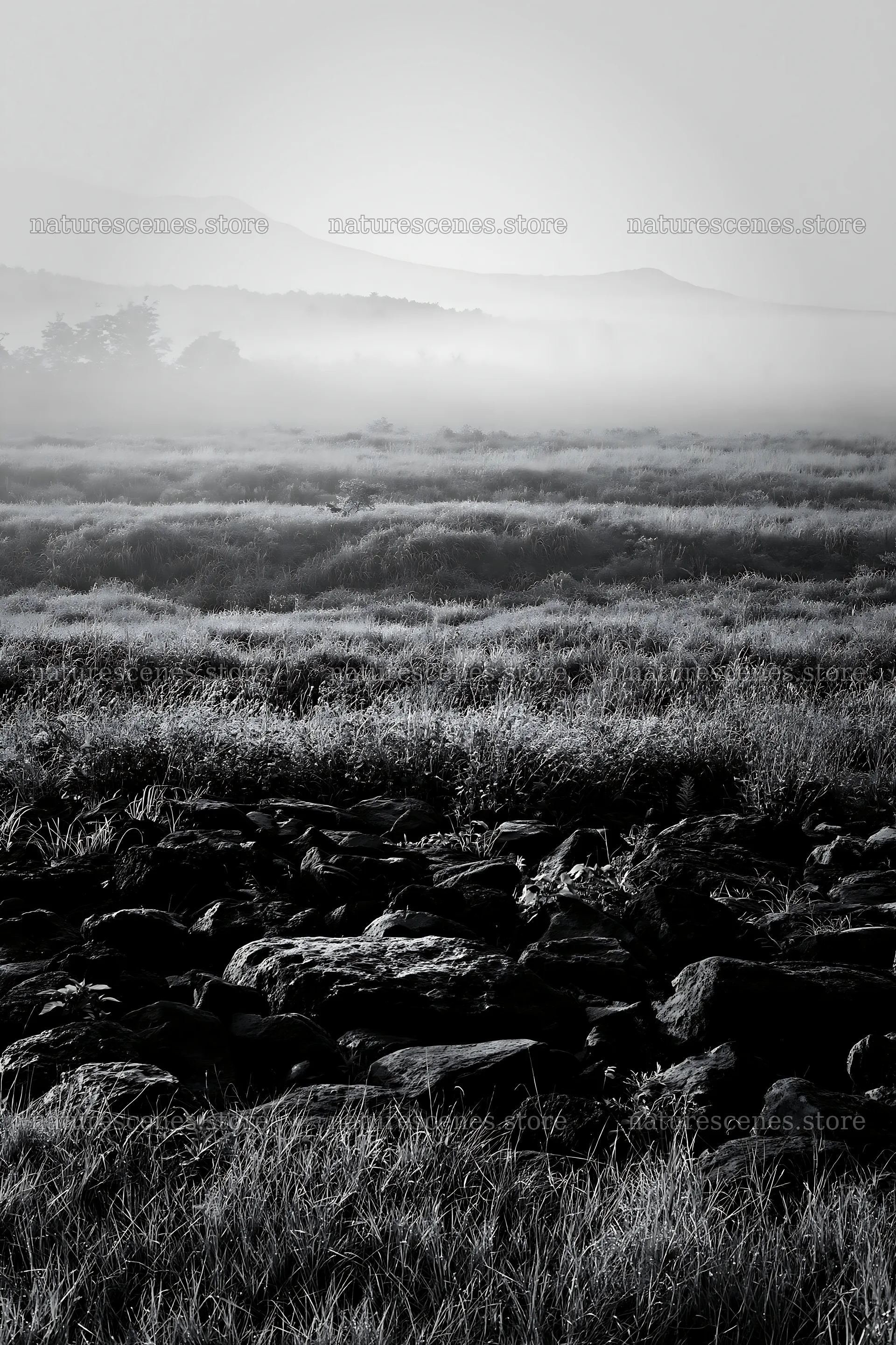 Yamanashi regenerative meadow with basalt stones under morning mist – nature scenes 6480x9722