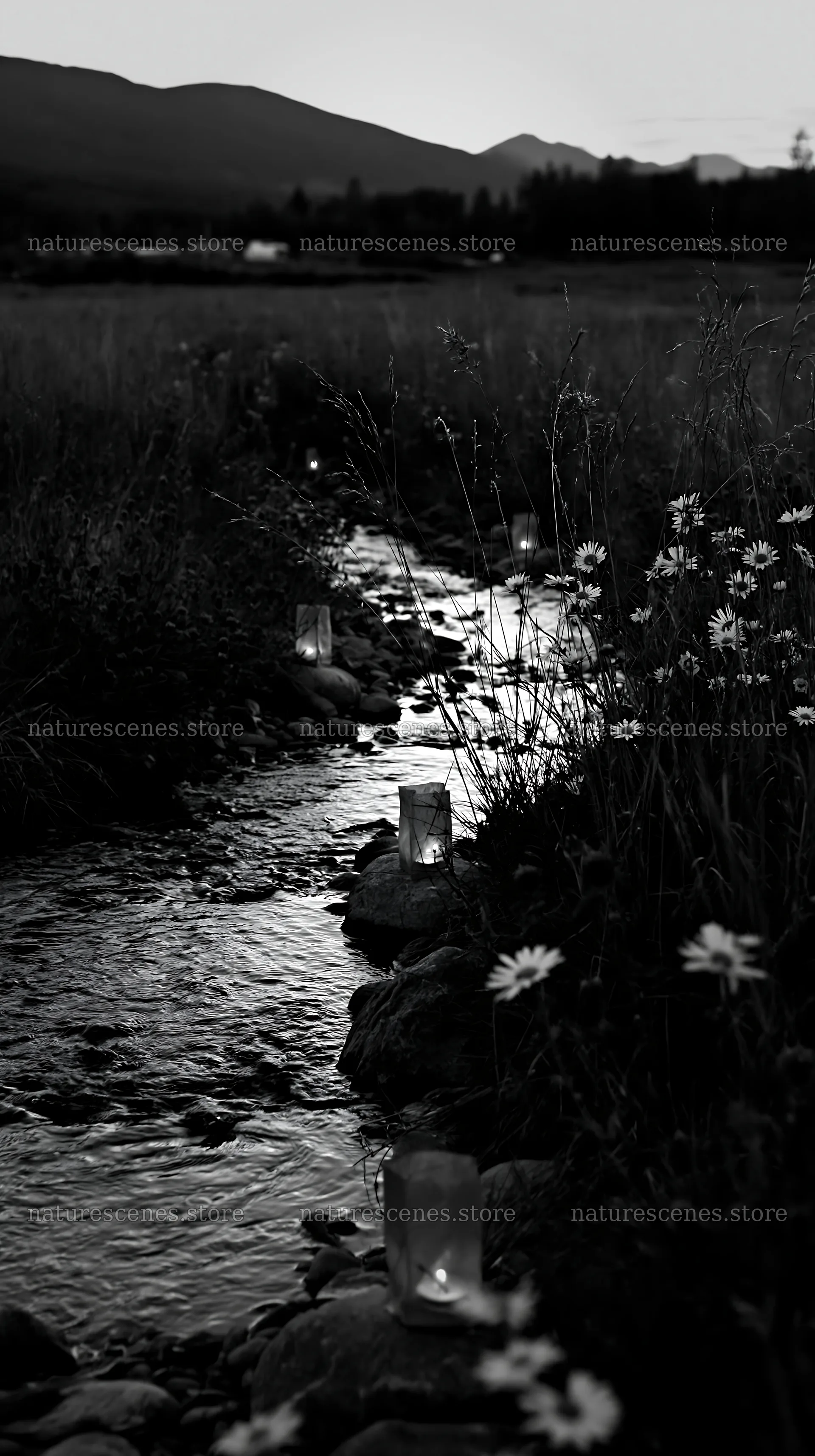 Lanterns illuminate stream in meadow during evening – nature scenes 5938x10608