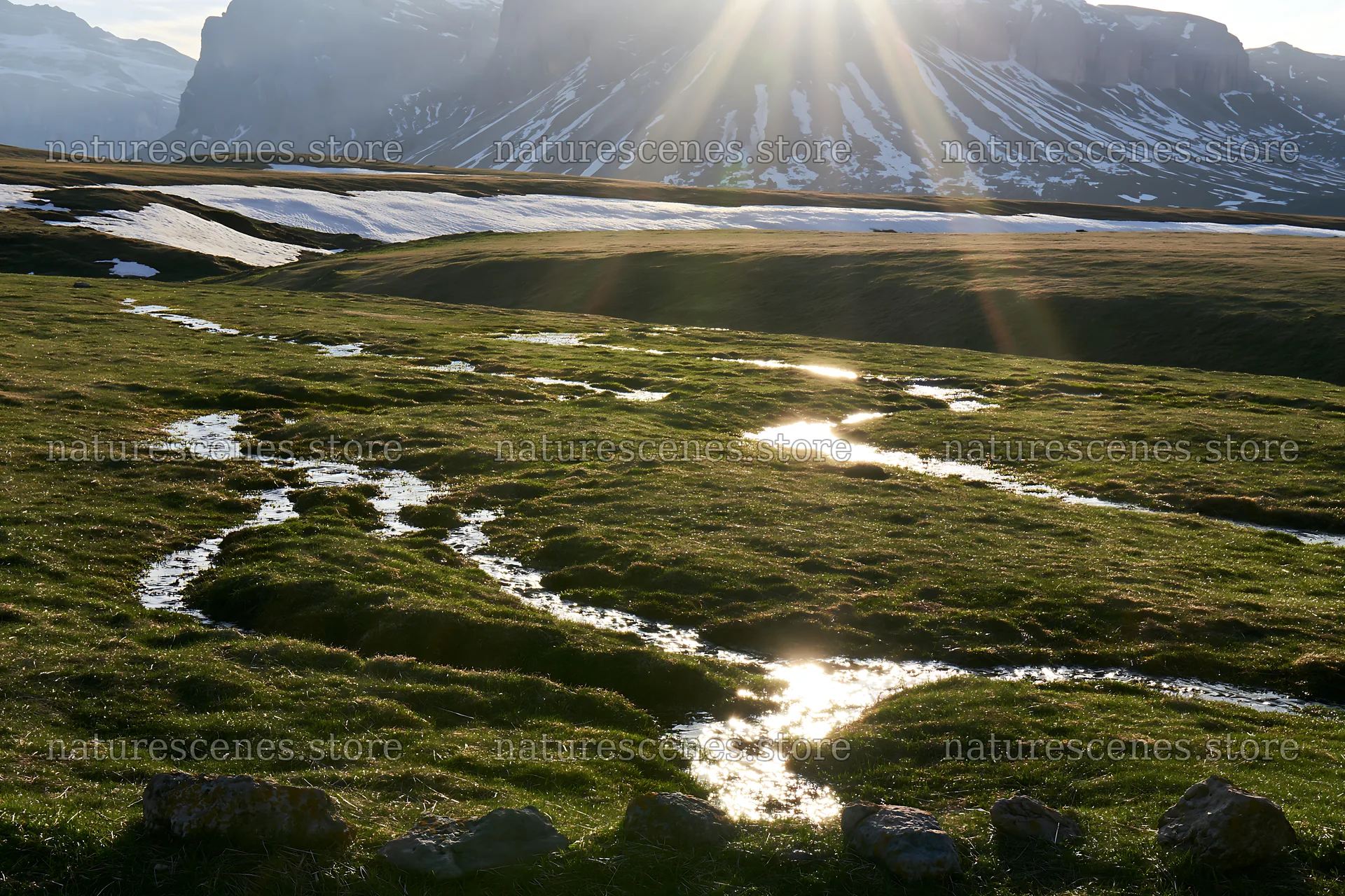 Sunlight beams over Alpe di Siusi meadow and stream – nature scenes 9722x6480