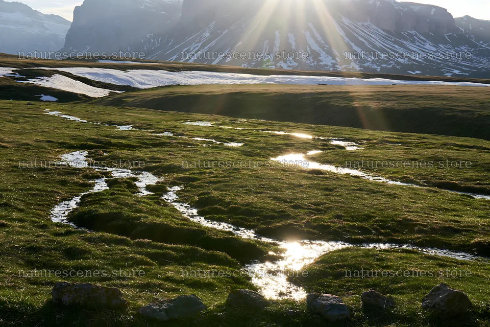 Sunlight beams over Alpe di Siusi meadow and stream – nature scenes 9722x6480