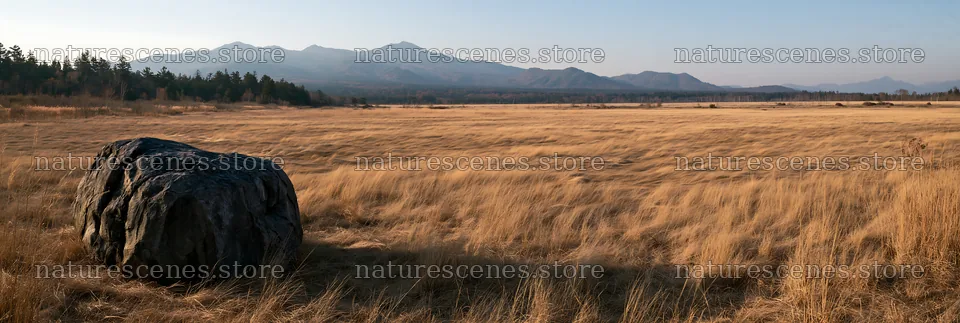Nagano drought resilient meadow granite boulder in a wide field – nature scenes 13690x4602