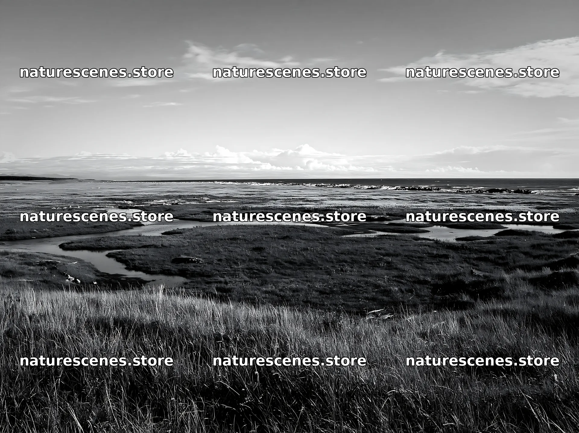 Ishikawa coastal meadow storm washed driftwood along the shore – nature scenes 9174x6866