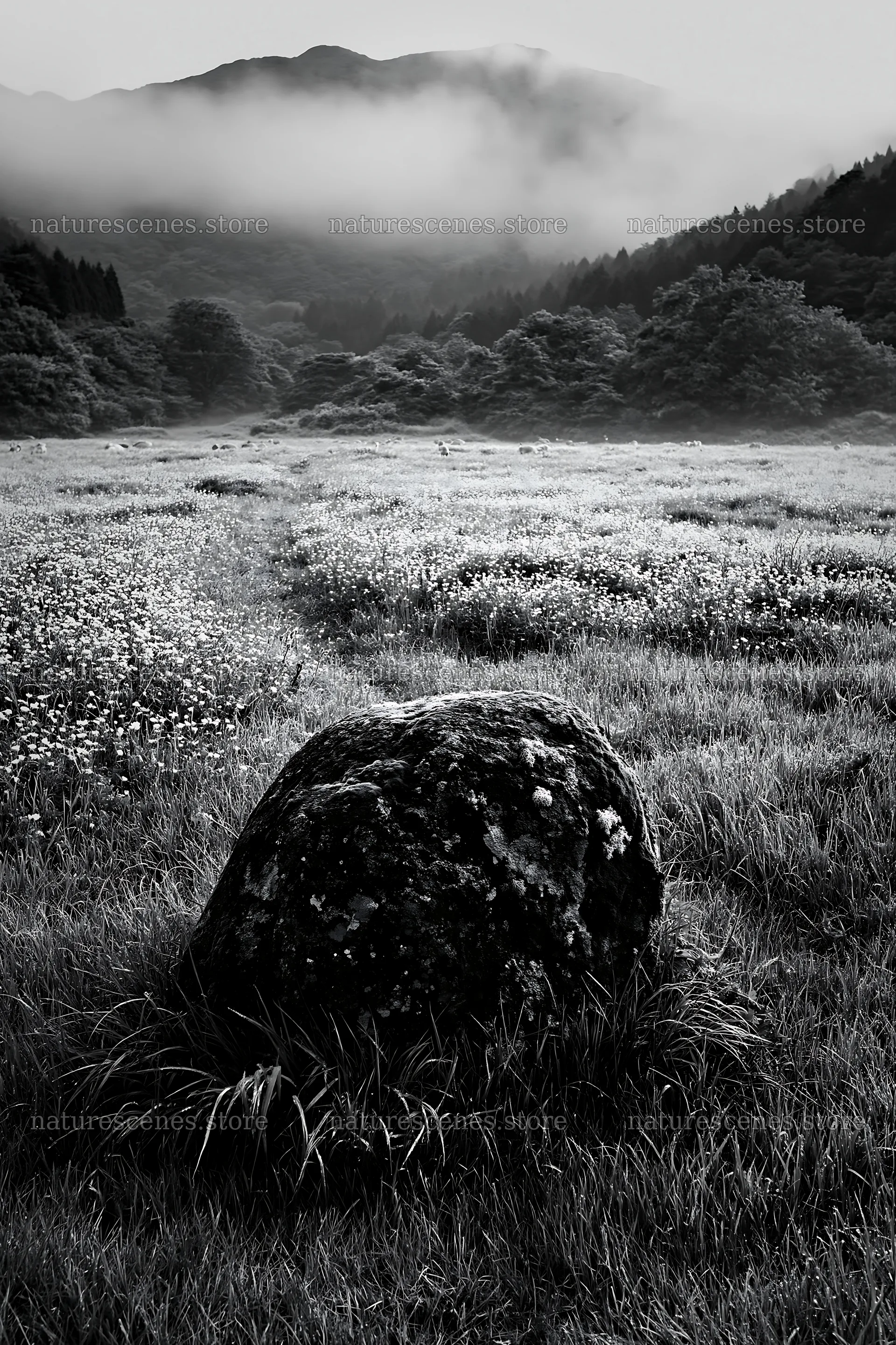 Misty meadow in Shimane with moss covered stone – nature scenes 6480x9722