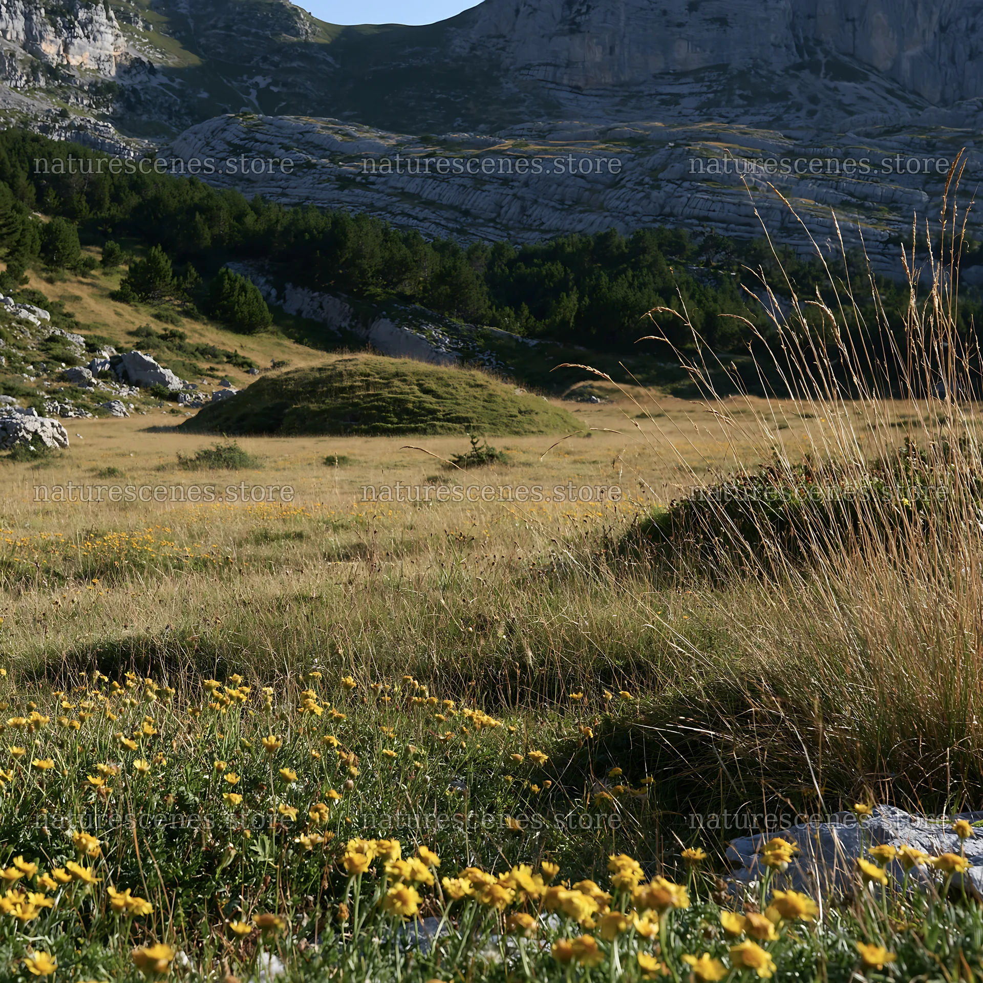 Meadow with wildflowers and rocky mountains in background – nature scenes 7938x7938