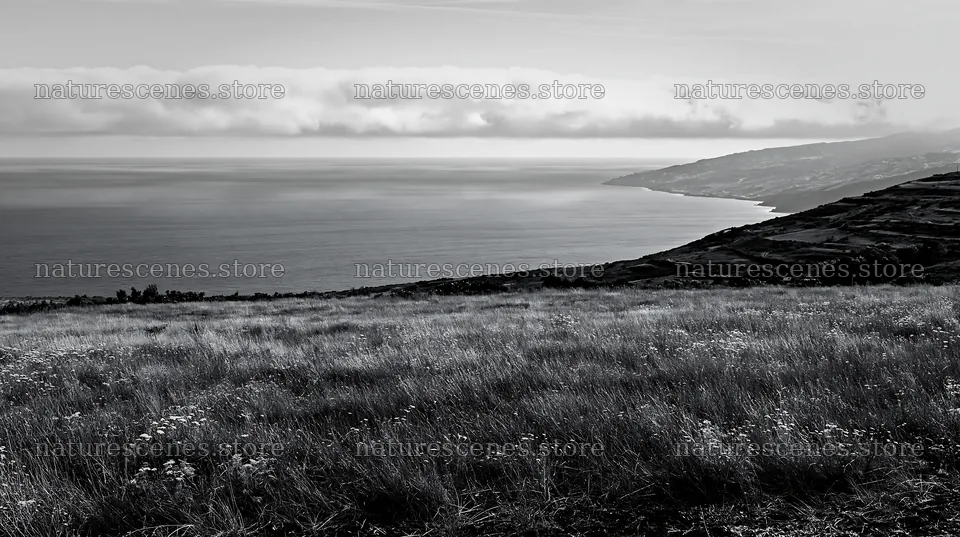 Portuguese meadow overlooking Atlantic coast with clouds – nature scenes 10608x5938