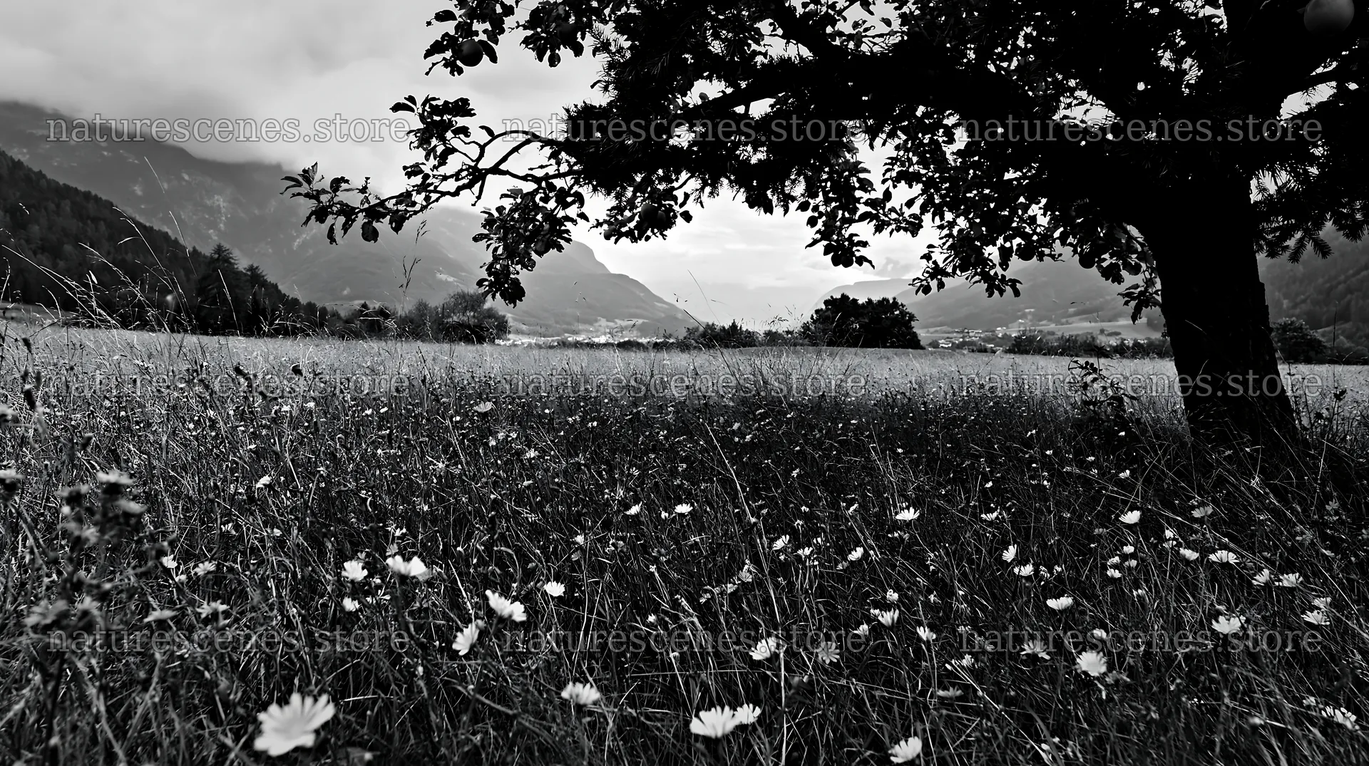 Christmas apple tree meadow in the Dolomites with garlands – nature scenes 10608x5938