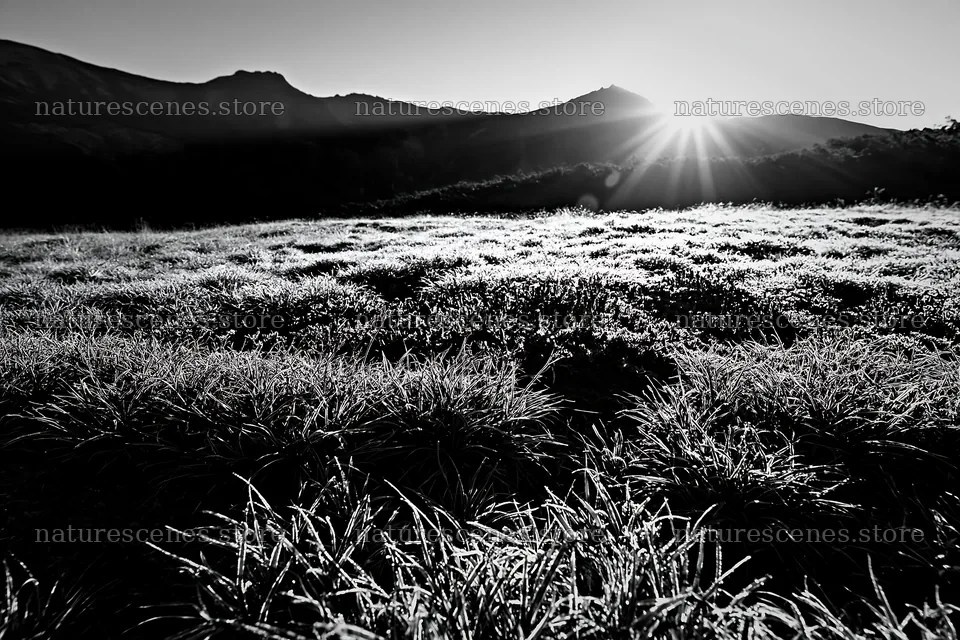 Light rays over Daisetsuzan alpine meadow at sunrise – nature scenes 9722x6480