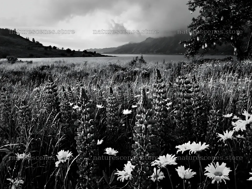 Meadow with wildflowers and trees near water in Lofoten – nature scenes 9174x6866