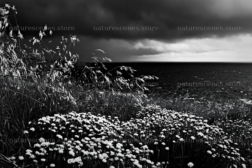 Meadow with seedheads alongside stormy sea and dark clouds – nature scenes 9722x6480