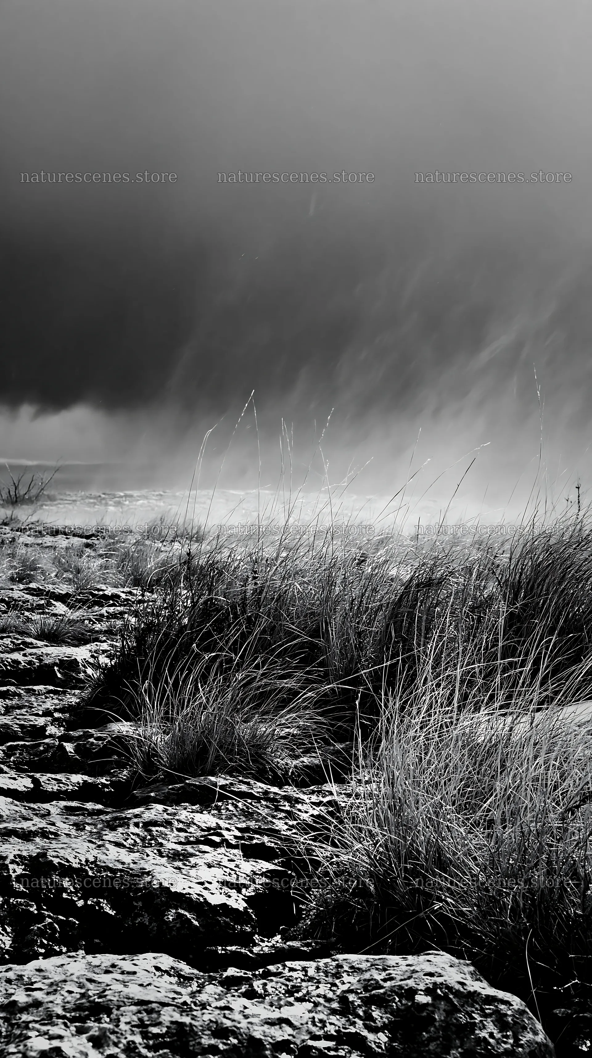 Meadow under dark clouds with tall grass and rocky path – nature scenes 5938x10608