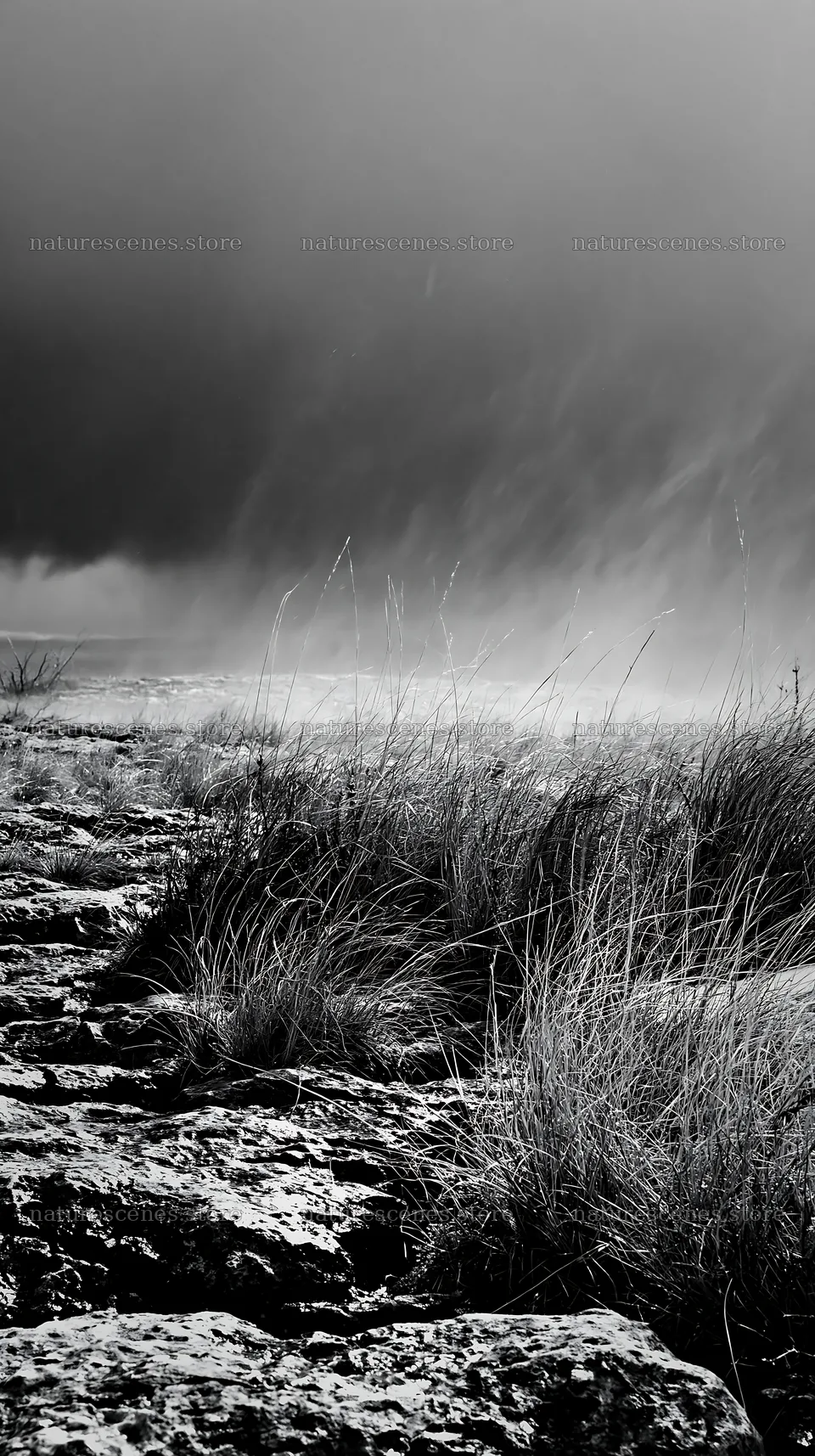 Meadow under dark clouds with tall grass and rocky path – nature scenes 5938x10608