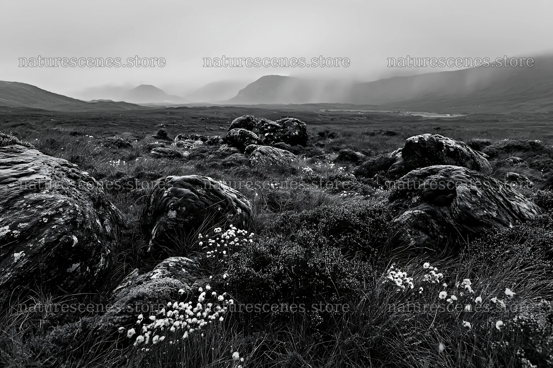 Mossy boulders in a misty meadow landscape – nature scenes 9722x6480