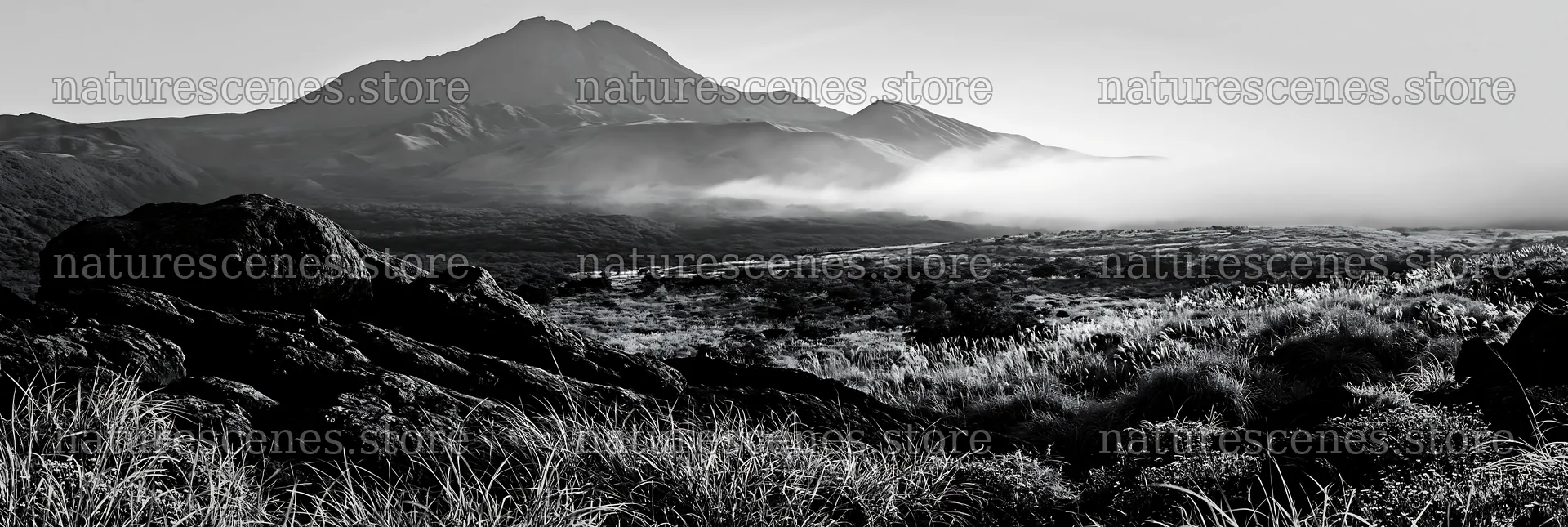 Kumamoto volcanic meadow dark rock foreground under morning light – nature scenes 13690x4602
