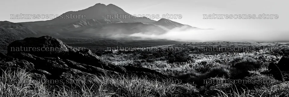 Kumamoto volcanic meadow dark rock foreground under morning light – nature scenes 13690x4602