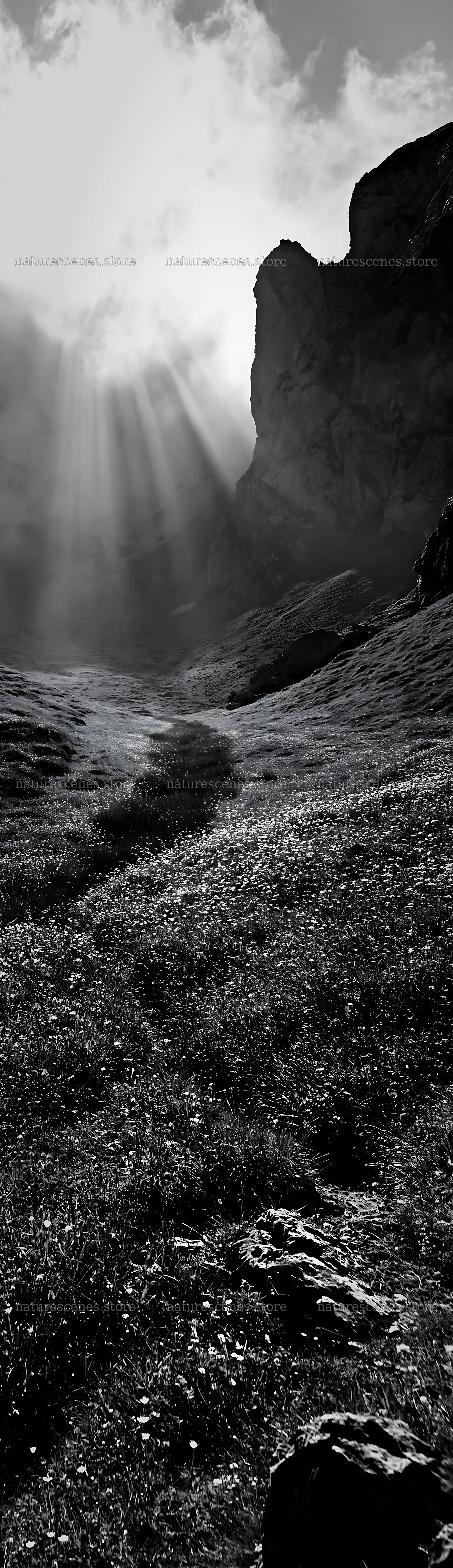 Sunrays shining over the meadow in Picos de Europa – nature scenes 4268x14762