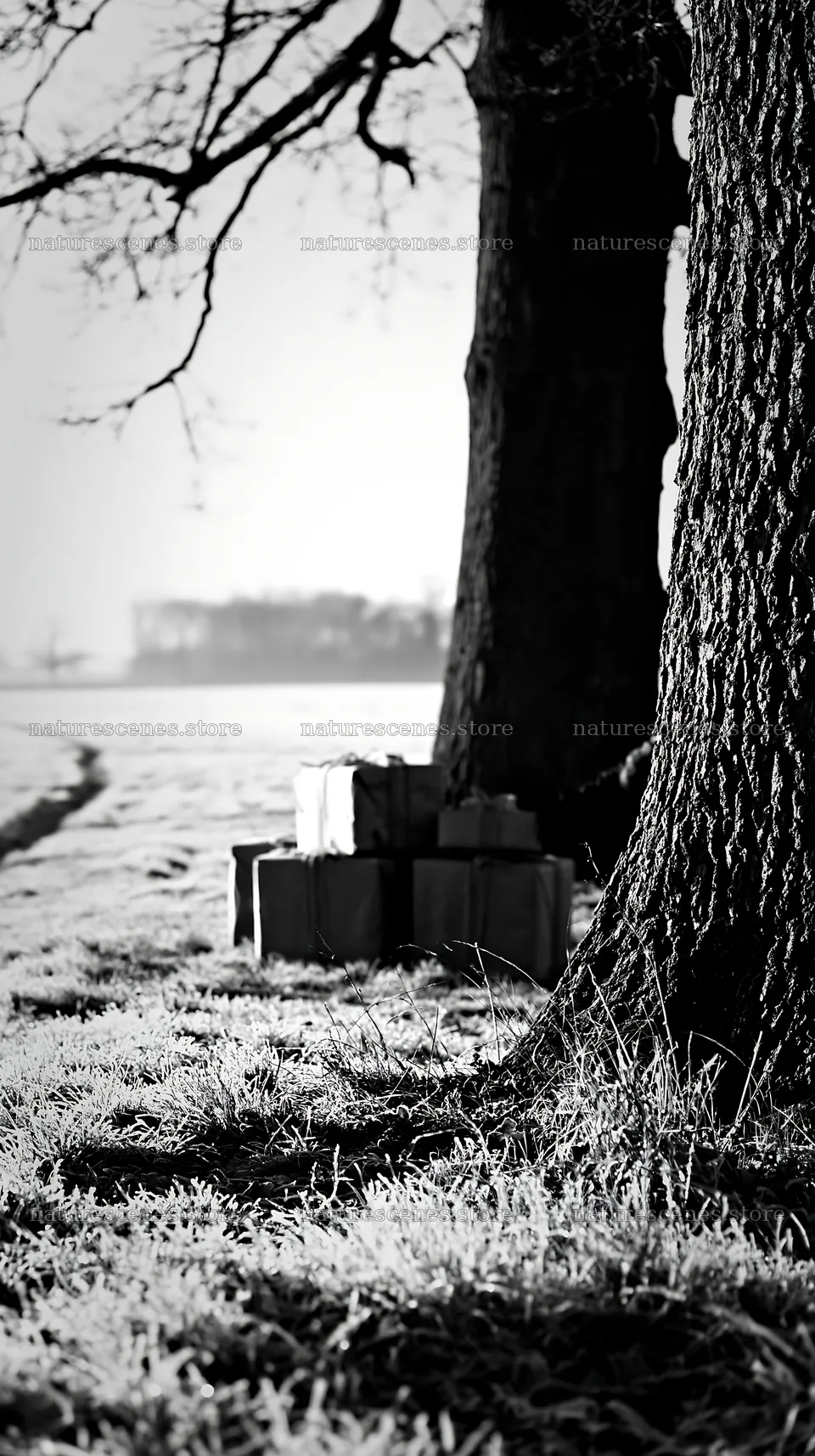 Packages on grass near tree in meadow setting – nature scenes 5938x10608