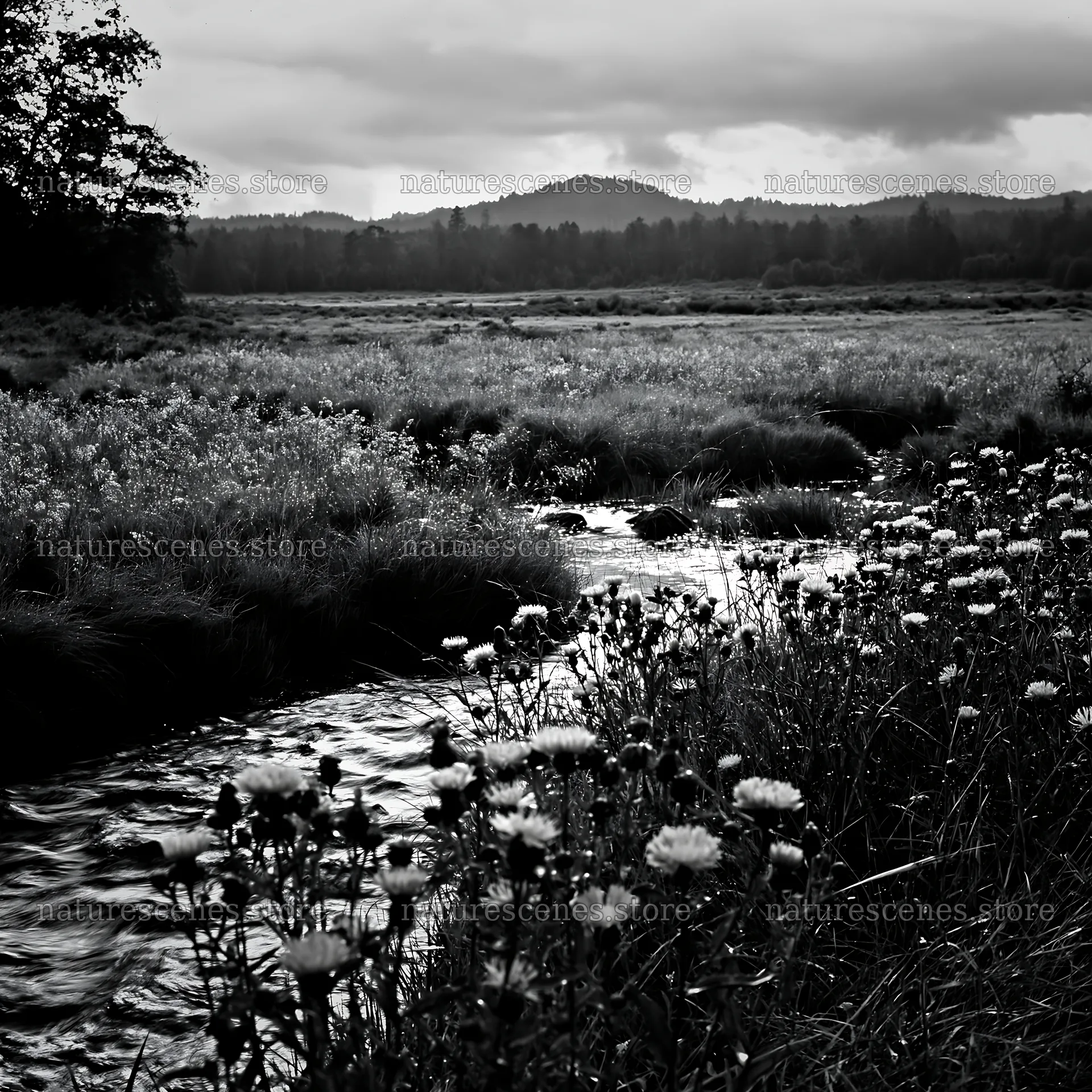 High contrast wildflower stream with meadow and mountains – nature scenes 7938x7938