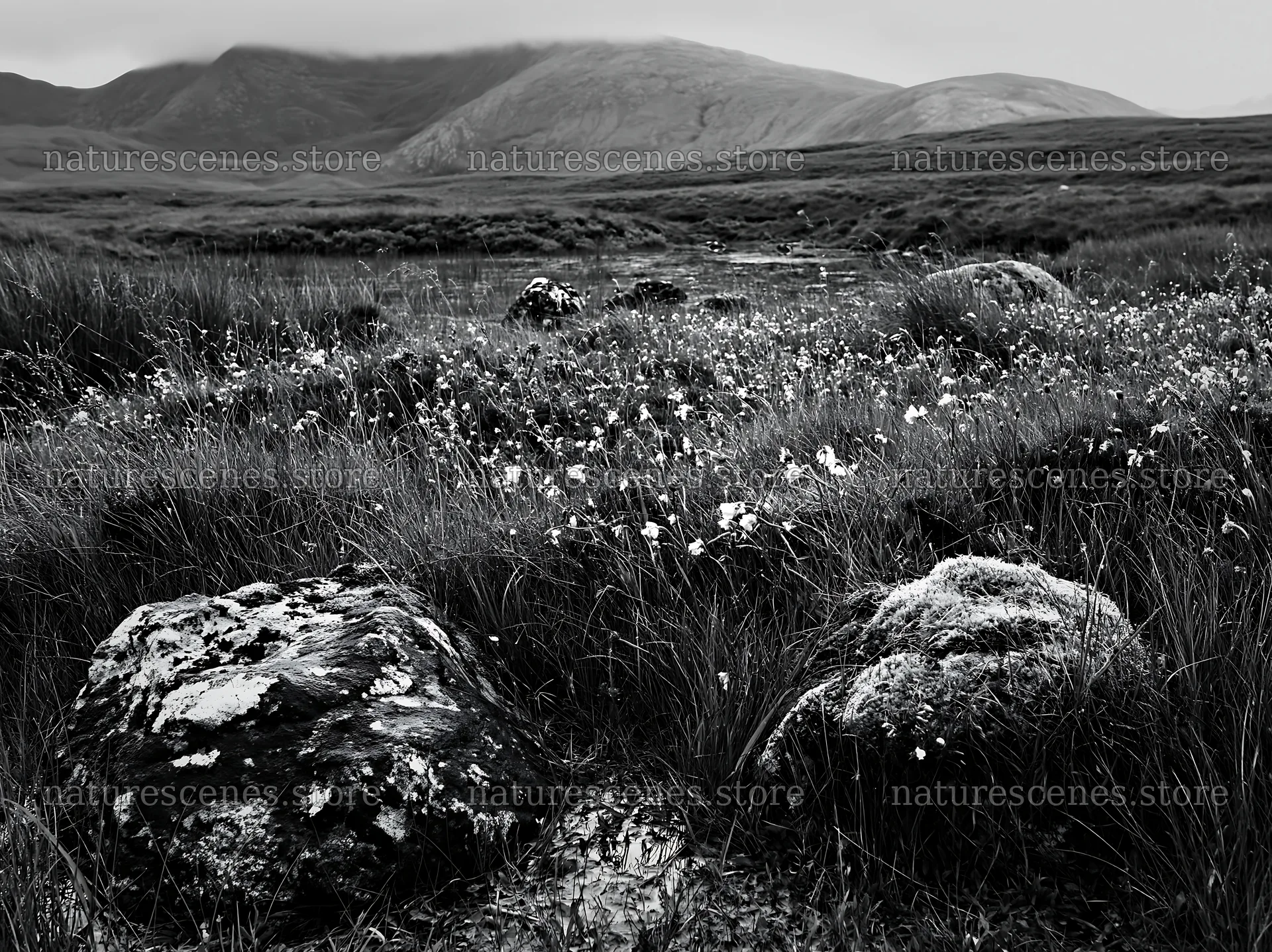 Mossy boulders in a meadow near a mountain landscape – nature scenes 9174x6866