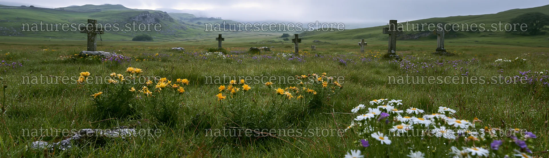 Christian crosses in rain soaked meadow with wildflowers – nature scenes 14762x4268