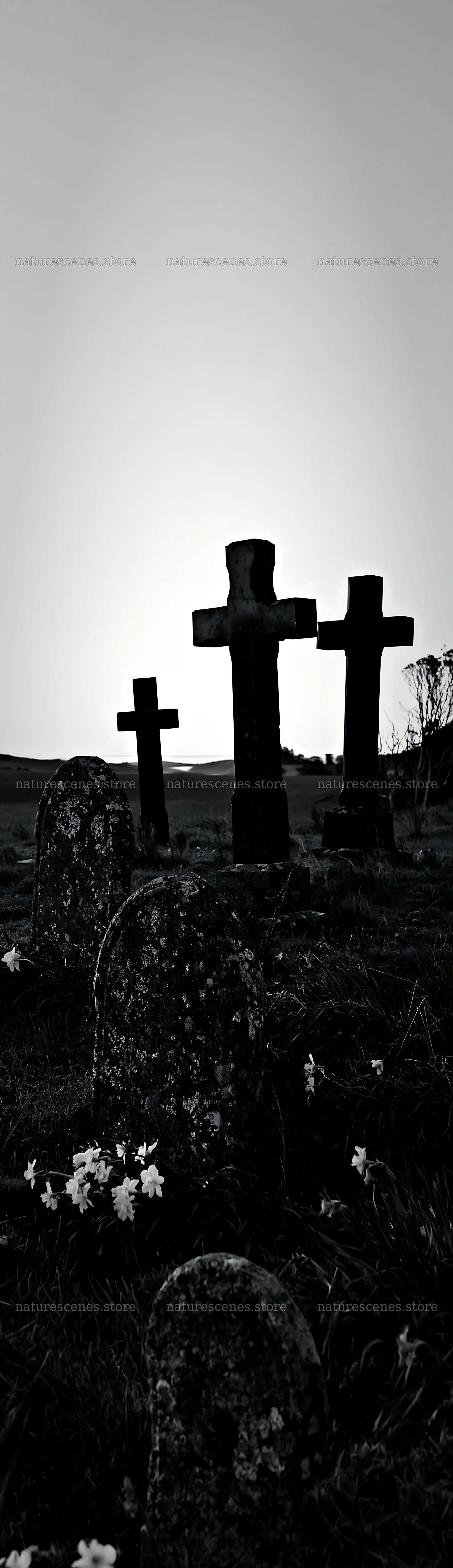 Three Christian crosses at sunrise in a meadow – nature scenes 4268x14762