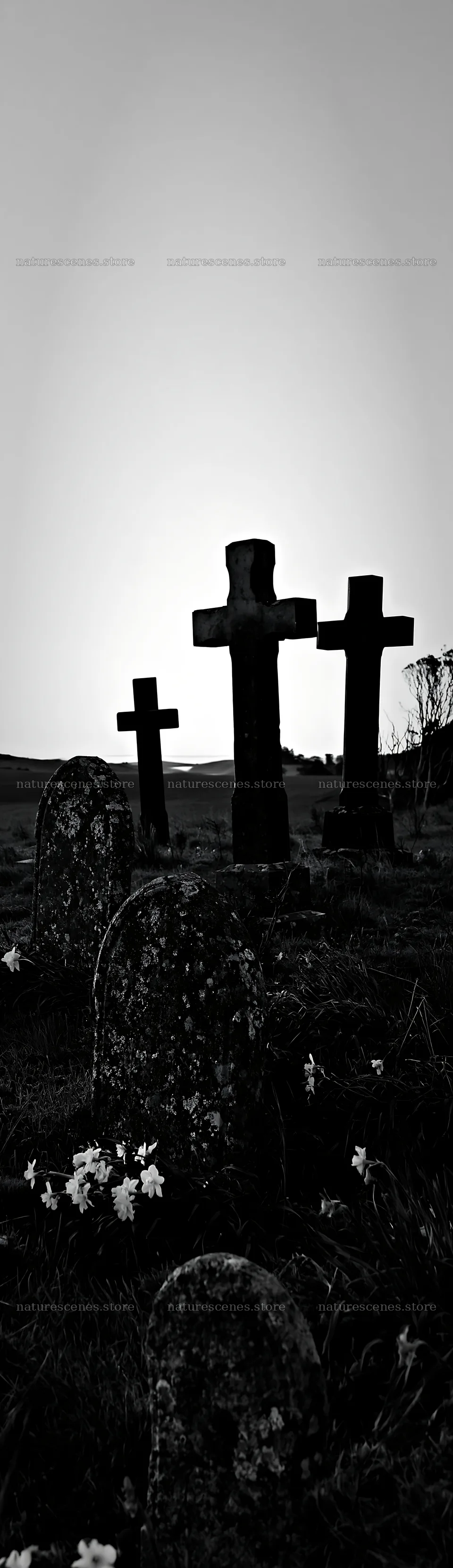Three Christian crosses at sunrise in a meadow – nature scenes 4268x14762