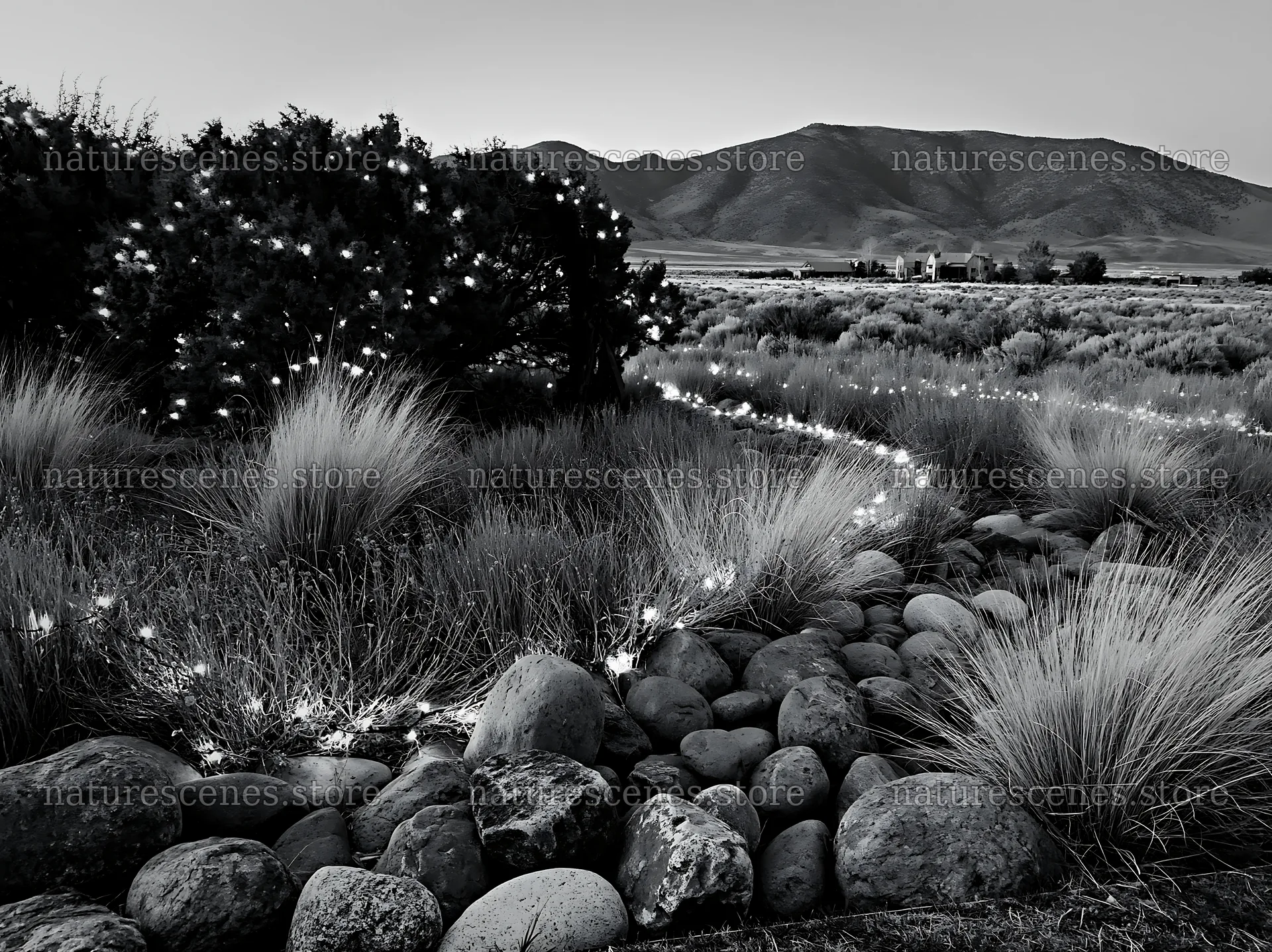 Christmas meadow with drought tolerant stems and garland – nature scenes 9174x6866