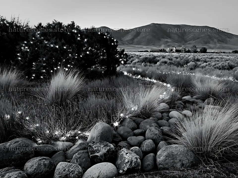 Christmas meadow with drought tolerant stems and garland – nature scenes 9174x6866