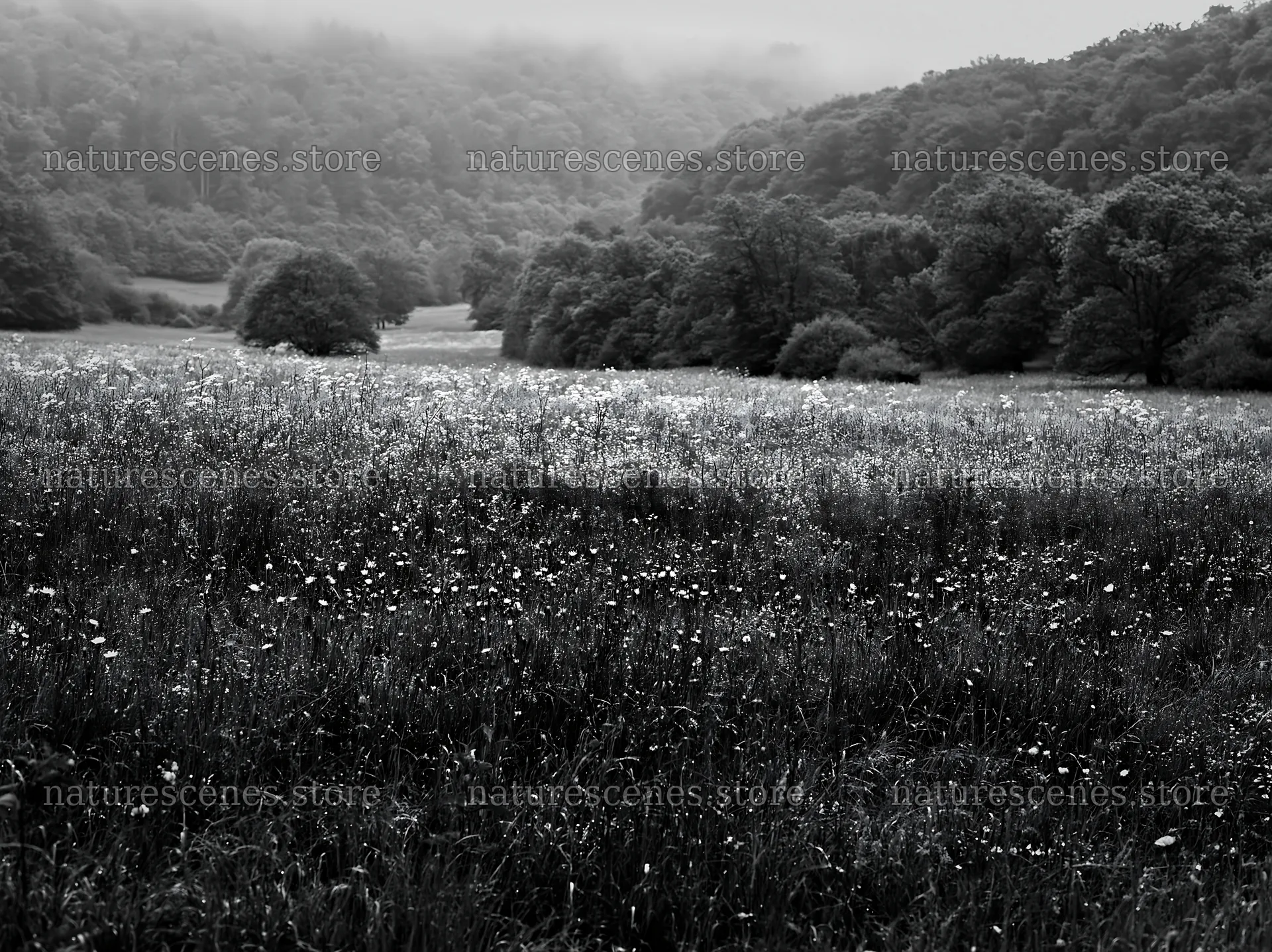 Foothill meadow in Germany with trees and fog – nature scenes 9174x6866