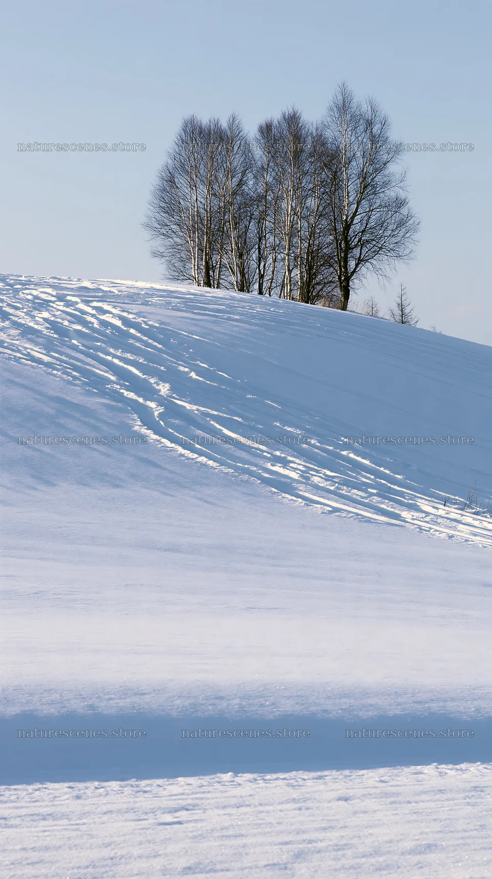 Snow covered hills and trees in Biei, Japan – nature scenes 5938x10608