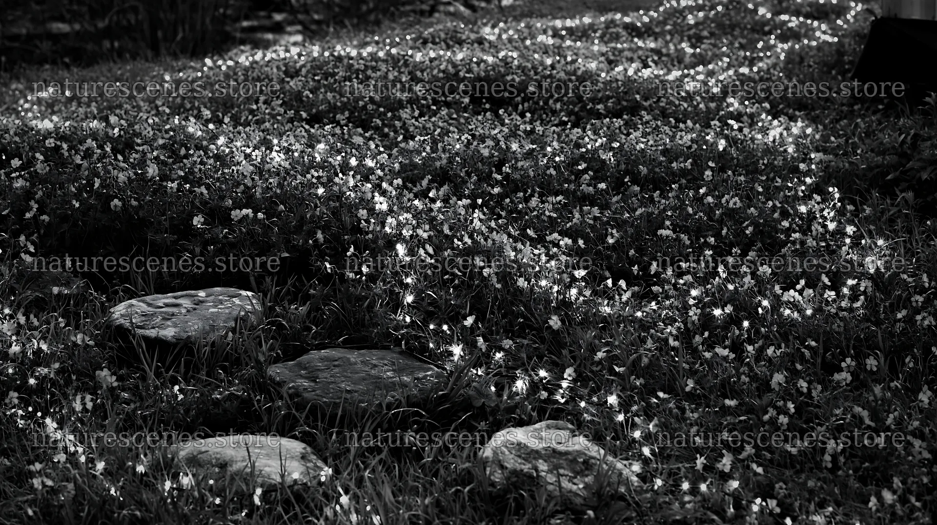 Christmas meadow with lights and stones at spring recovery – nature scenes 10608x5938