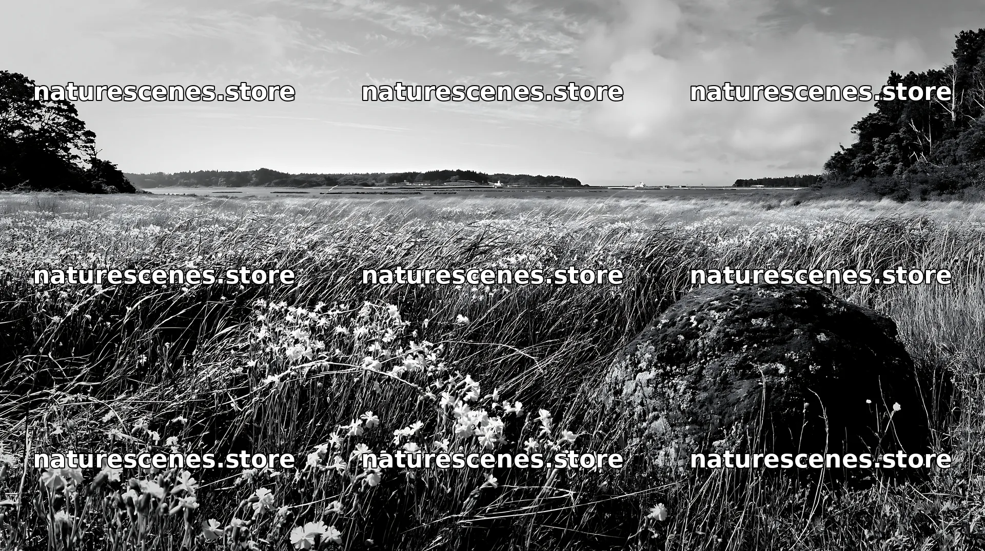 Miyagi spring recovery meadow mossy stone with flowers and grass – nature scenes 10608x5938