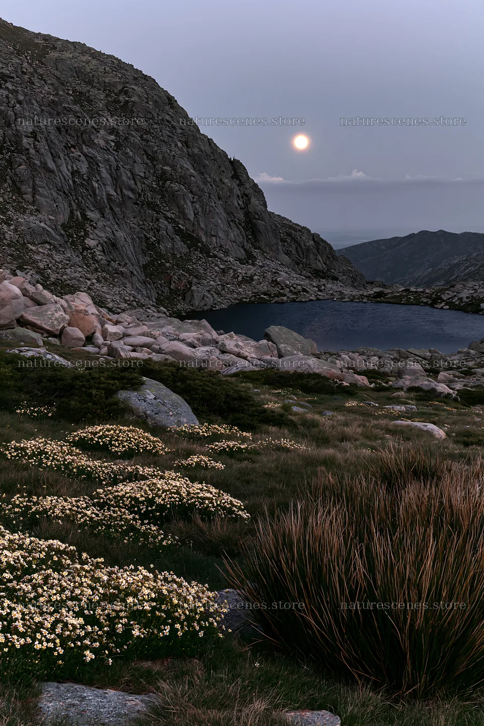Moonlit meadow with flowers near mountain lake – nature scenes 6480x9722