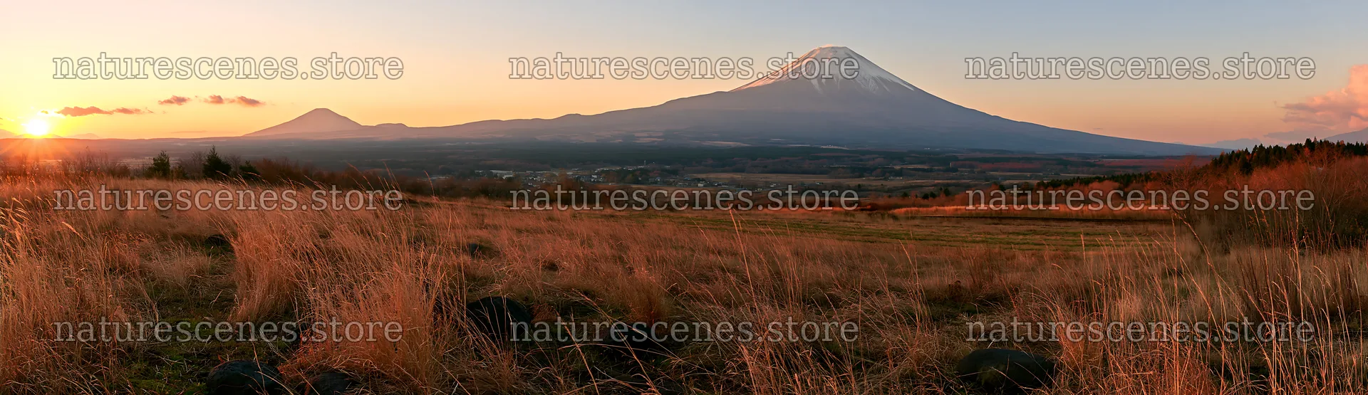 Yamanashi regenerative meadow with basalt stones at sunset – nature scenes 14762x4268