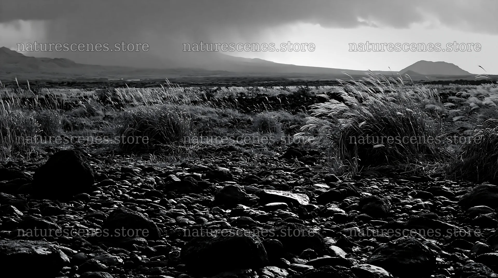Kagoshima volcanic meadow with pumice and grass backdrop – nature scenes 10608x5938