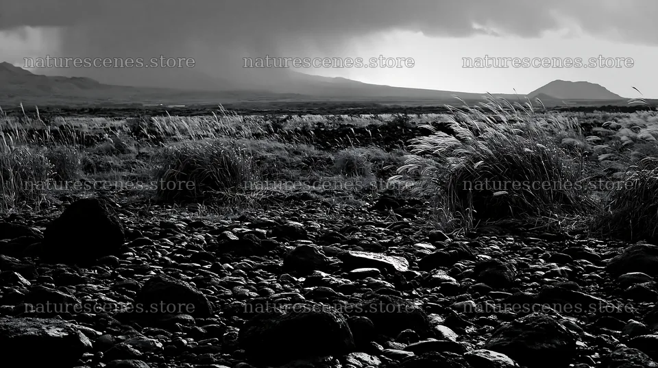 Kagoshima volcanic meadow with pumice and grass backdrop – nature scenes 10608x5938