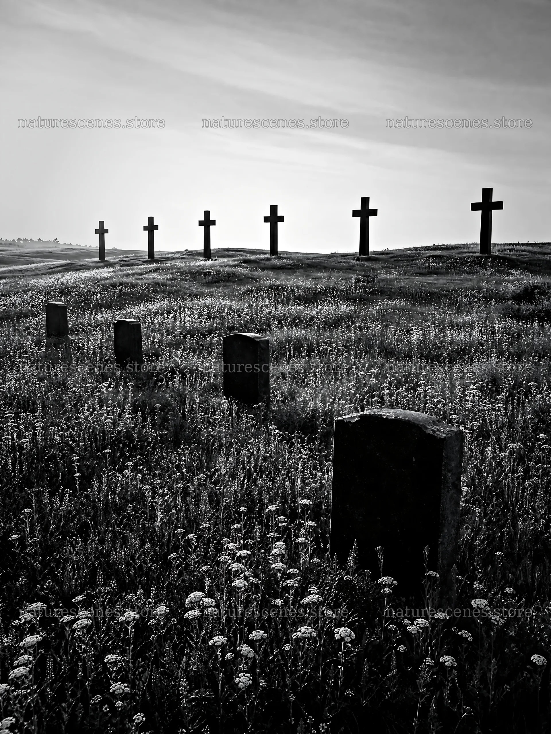 Christian crosses on rolling meadow beneath sunrise – nature scenes 6874x9166