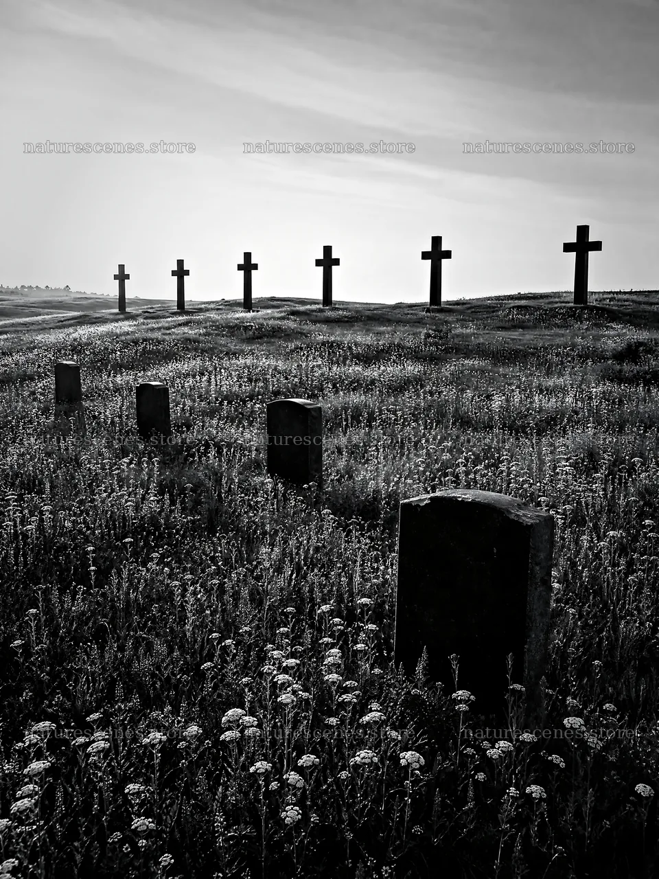 Christian crosses on rolling meadow beneath sunrise – nature scenes 6874x9166