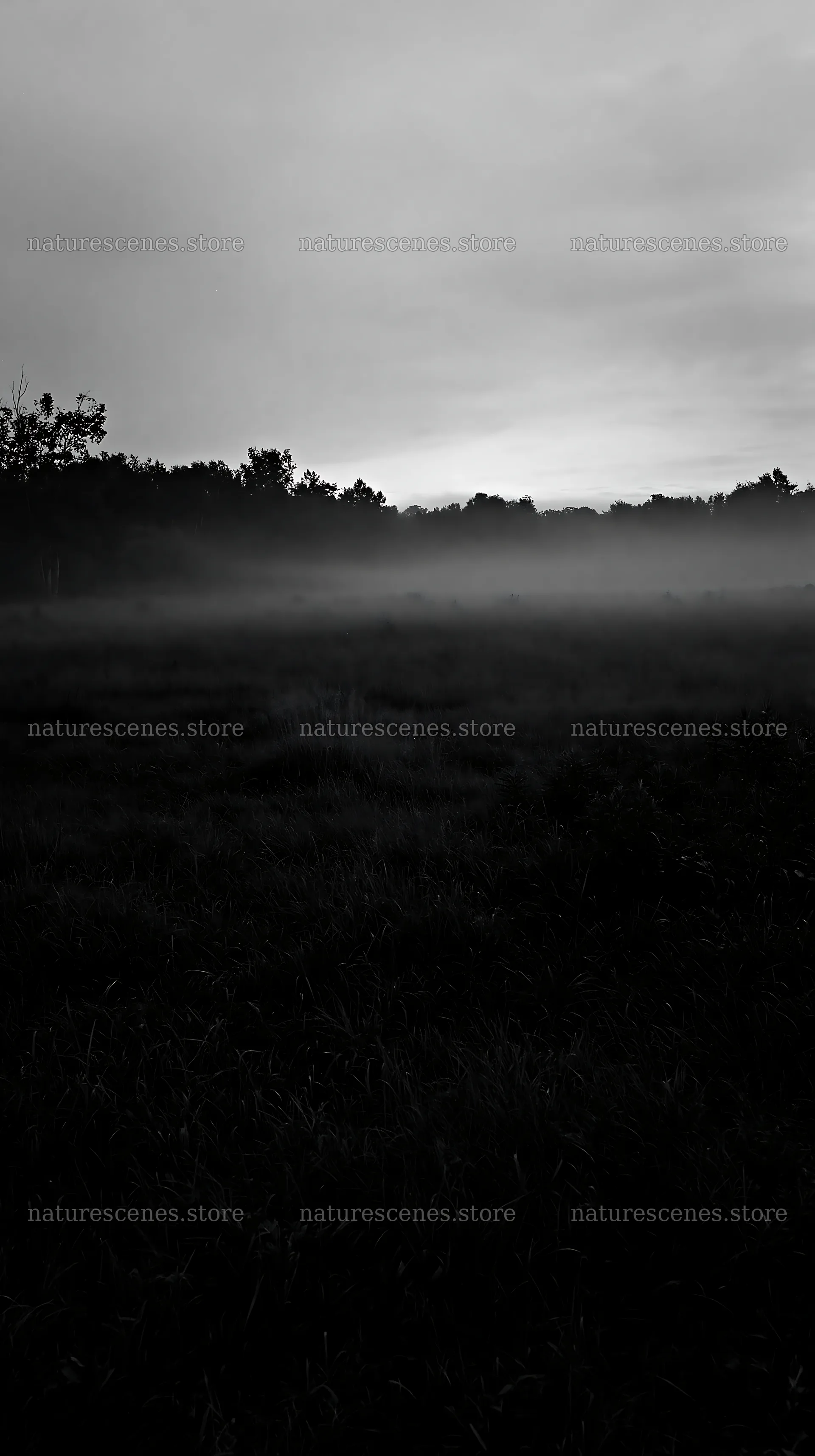 Niigata floodplain restoration meadow dew foreground – nature scenes 5938x10608