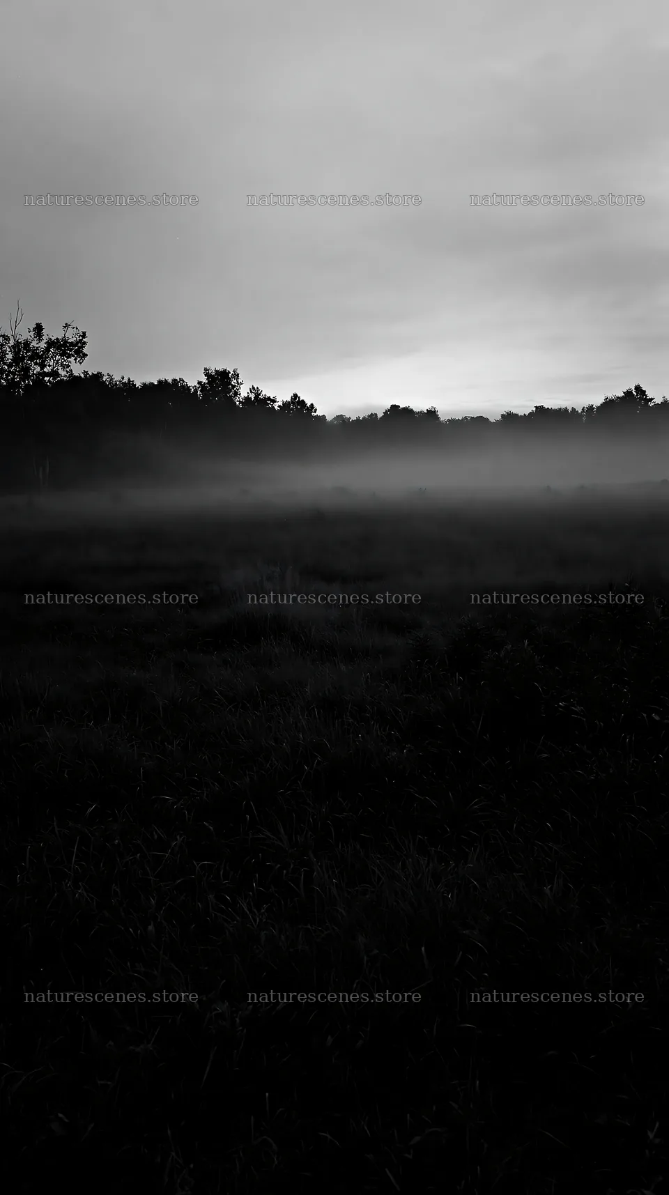 Niigata floodplain restoration meadow dew foreground – nature scenes 5938x10608