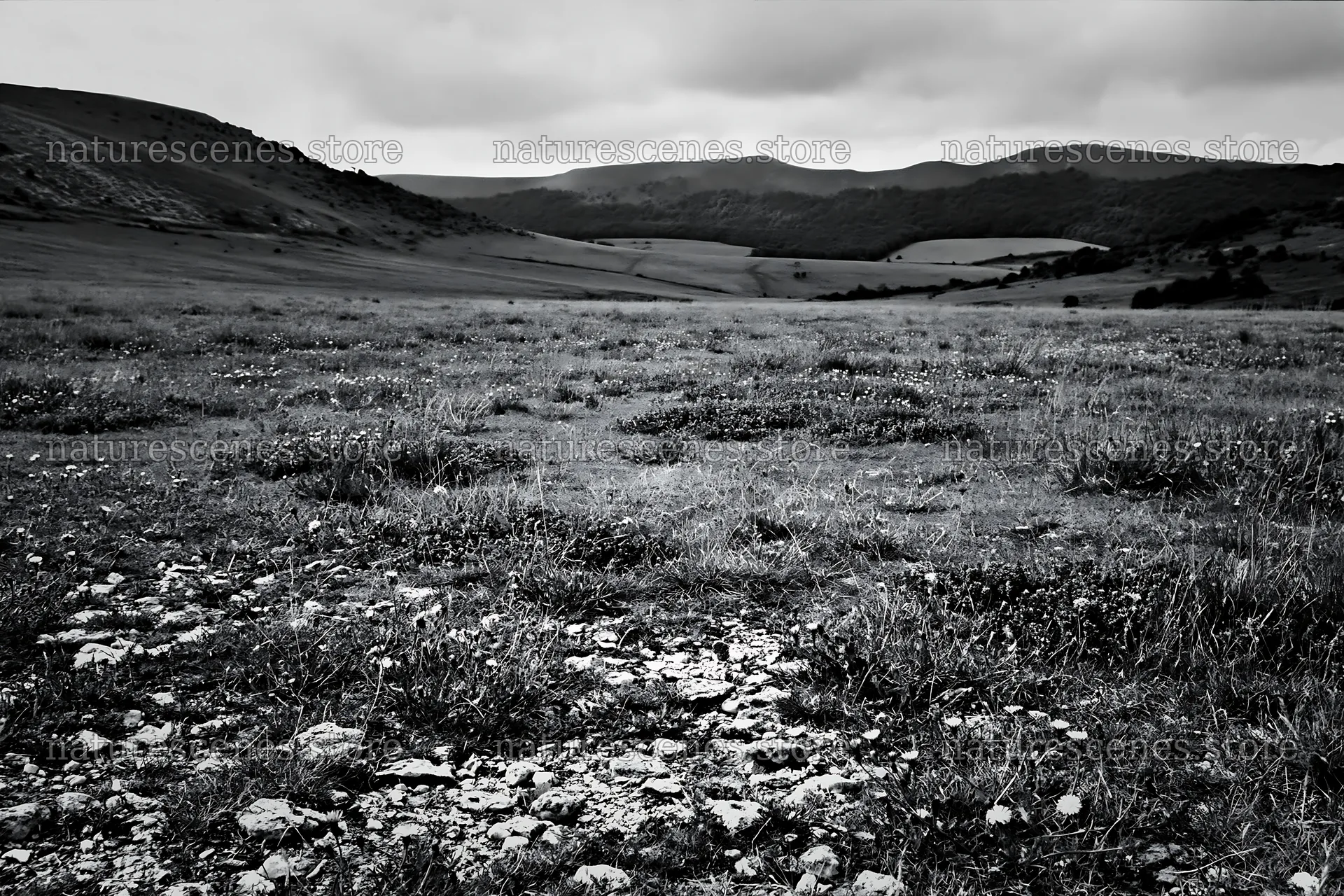 Cloudy chalk grassland meadow with distant hills – nature scenes 9722x6480