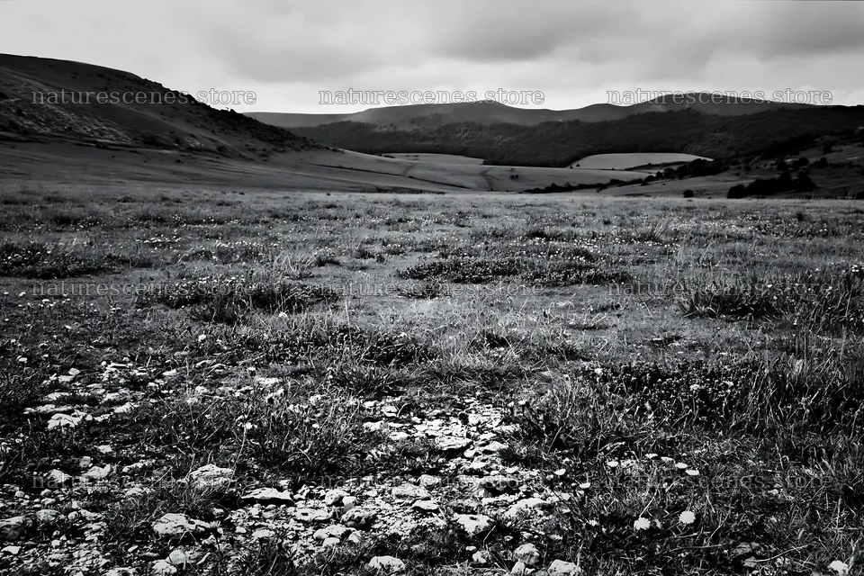 Cloudy chalk grassland meadow with distant hills – nature scenes 9722x6480