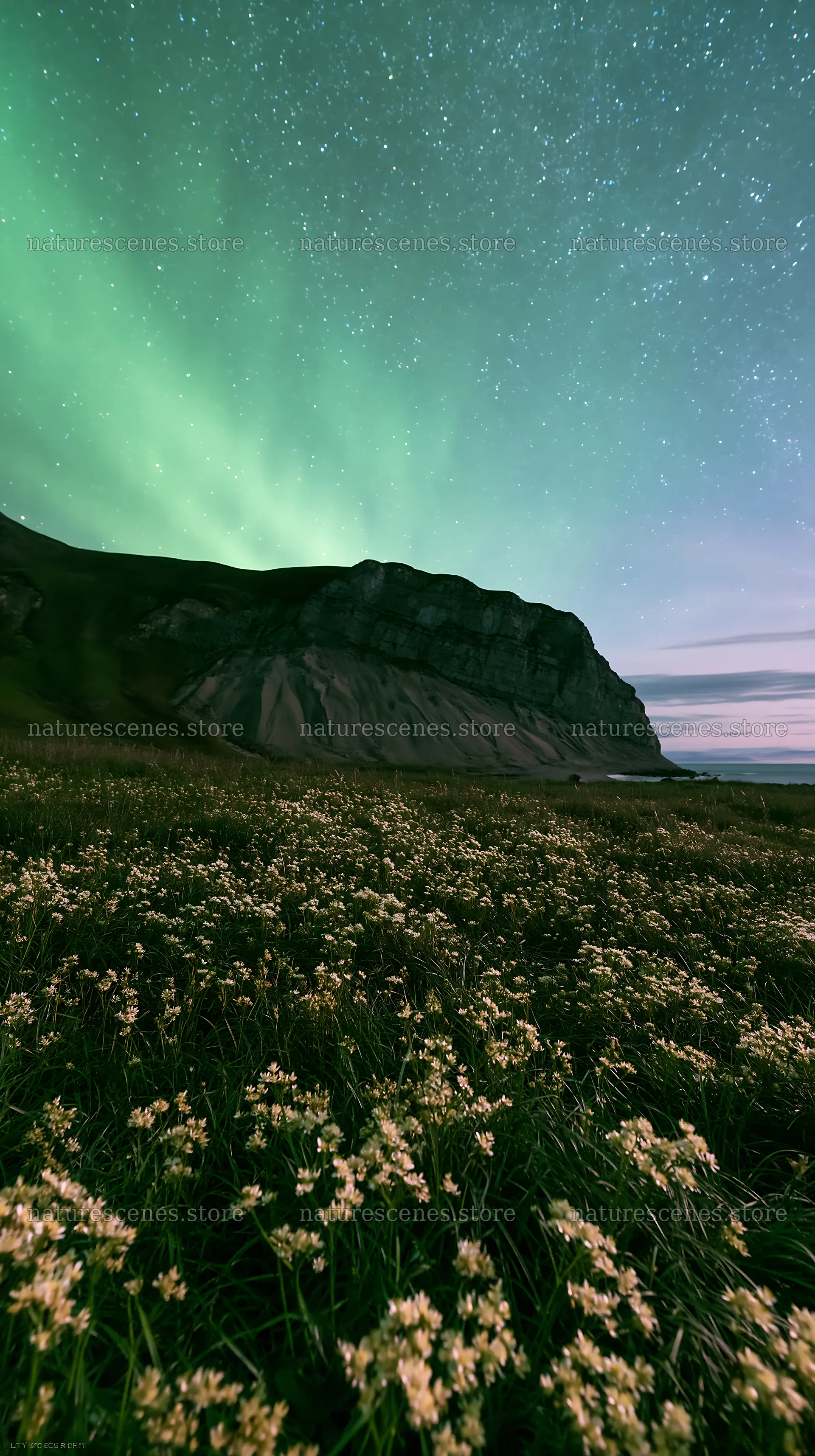 Aurora lights over meadow by the coast at night – nature scenes 5938x10608
