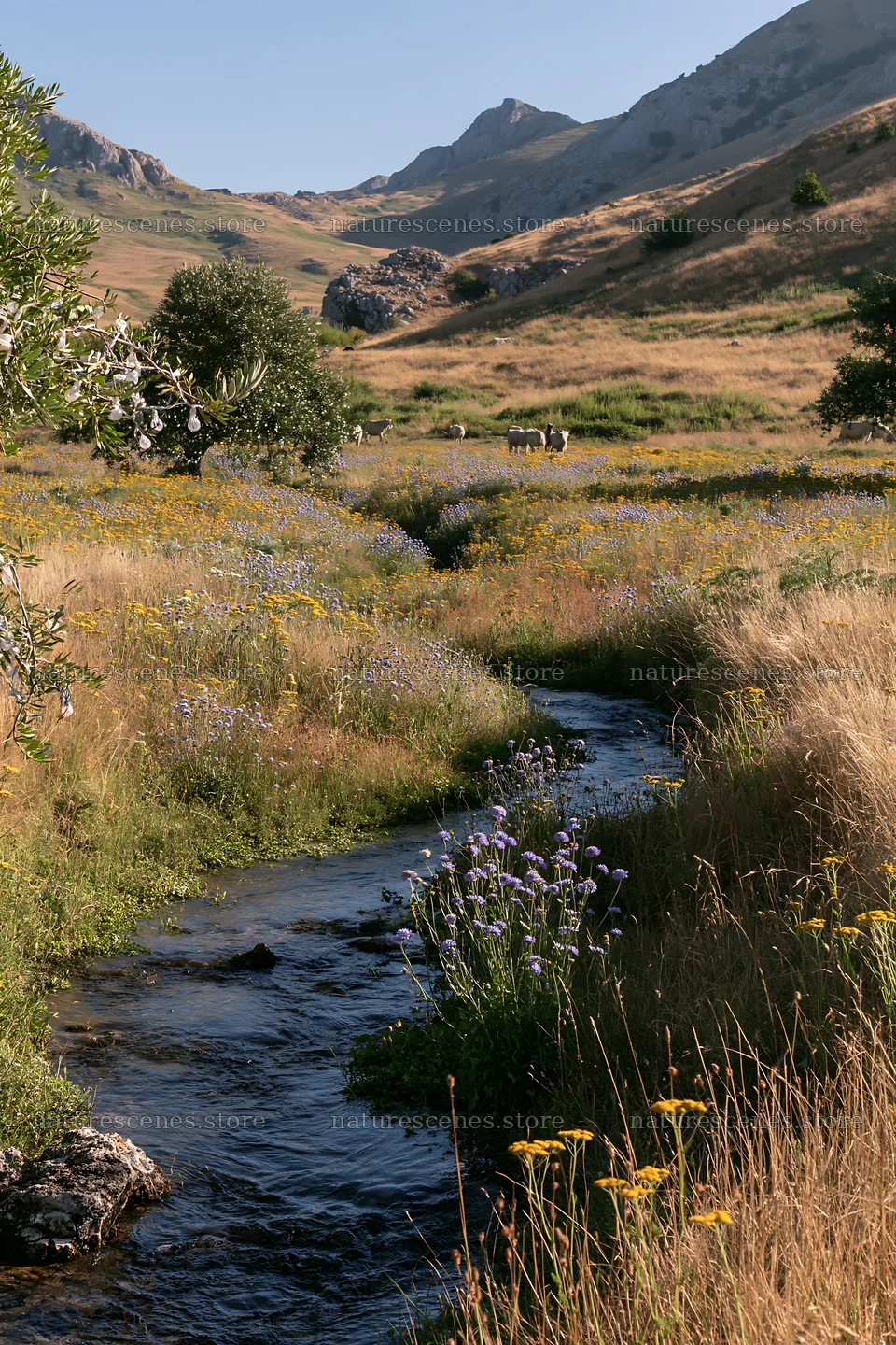 Christmas lights above stream in meadow with mountains – nature scenes 6480x9722